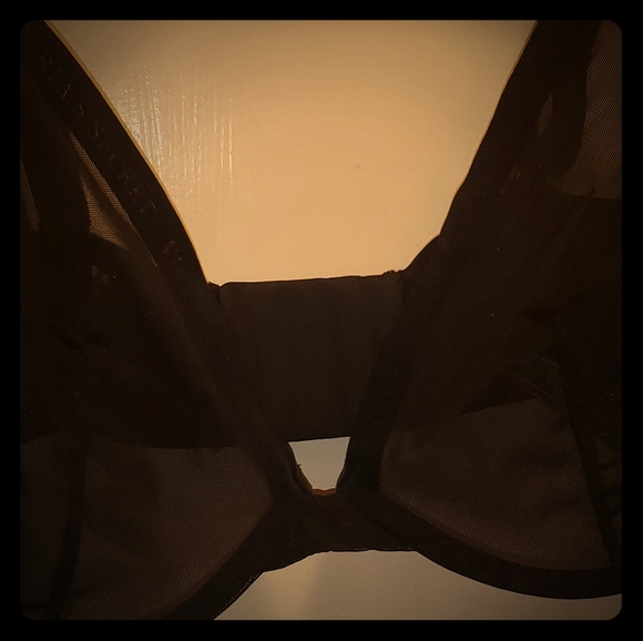 Victoria's Secret Other - Victoria's Secret sheer Luxe Plunge bra